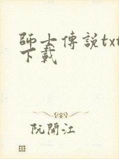 师士传说txt下载