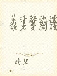 叶清辞沈怀瑾小说免费阅读最新章节