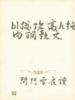 bl总攻高h纯肉调教文