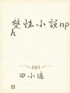 双性小说np高h