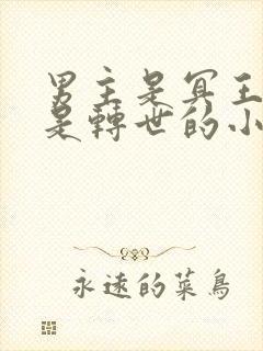 男主是冥王女主是转世的小说