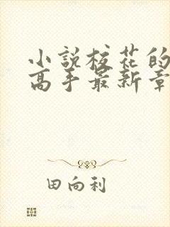 小说校花的贴身高手最新章节