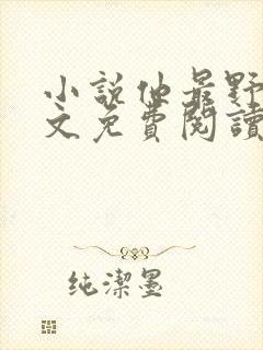 小说他最野了全文免费阅读