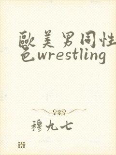 欧美男同性恋黄色wrestling封面