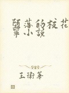 堕落的校花赵诗宁小说封面