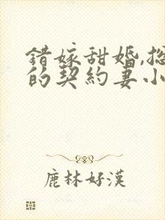 错嫁甜婚,总裁的契约妻小说封面