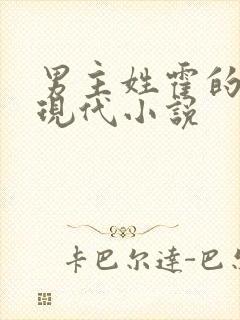 男主姓霍的总裁现代小说