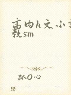 高肉h文小说调教sm封面