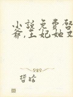 小说免费启禀王爷,王妃她又穷疯了