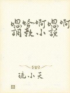 嗯哈啊嗯啊不要调教小说