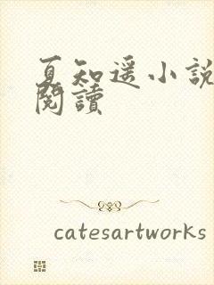 夏知遥小说免费阅读