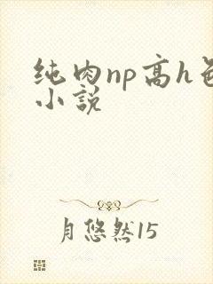 纯肉np高h色小说封面