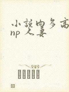 小说肉多高h np 人妻