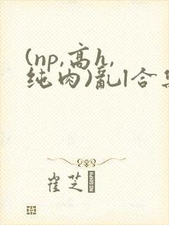 (np,高h,纯肉)乱l合集
