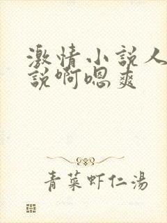 激情小说人妻小说啊嗯爽封面