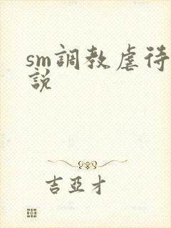 sm调教虐待小说