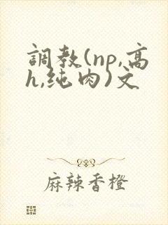 调教(np,高h,纯肉)文