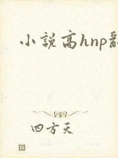 小说高hnp乱