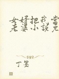 女婿把我当成他老婆小说免费阅读封面