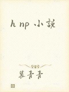 h np 小说
