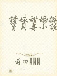 错嫁甜婚总裁的宝贝妻小说完整版