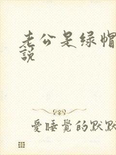 老公是绿帽奴小说封面