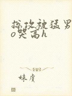 总攻被猛男cao哭高h