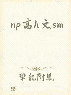 np高h文sm