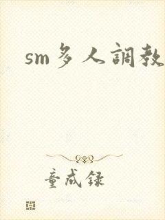 sm多人调教文封面