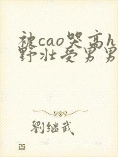 被cao哭高h野壮受男男视频