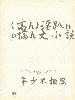 (高h)淫趴np伦h文小说