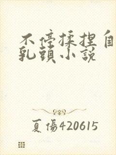 不停揉捏自己的乳头小说封面