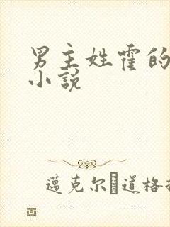 男主姓霍的总裁小说