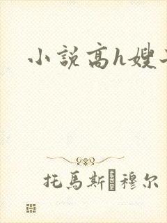 小说高h嫂子