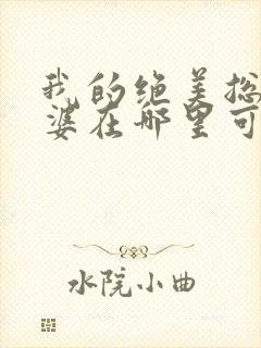 我的绝美总裁老婆在哪里可以看