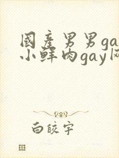 国产男男gay小鲜肉gay网站亚洲