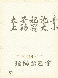 太子妃沈音和皇上的宠文小说