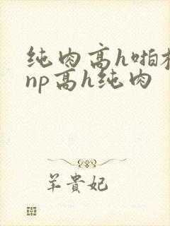 纯肉高h啪校园np高h纯肉