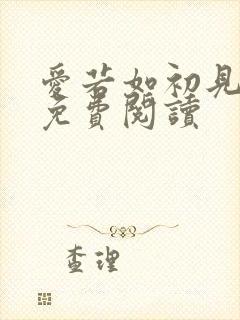 爱若如初见全文免费阅读封面
