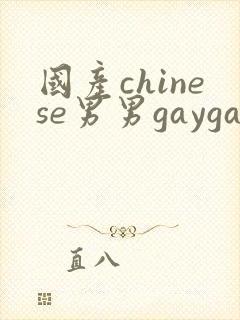 国产chinese男男gaygay射精网站