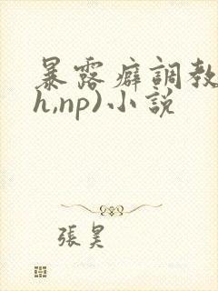 暴露癖调教(高h,np)小说