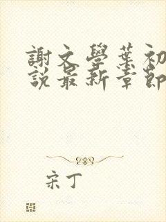 谢文学叶初瑗小说最新章节免费阅读