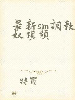 最新sm调教男奴视频