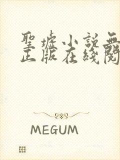 圣墟小说无删减正版在线阅读