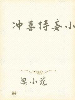 冲喜侍妾小说封面