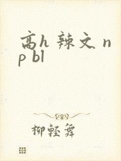 高h 辣文 np bl