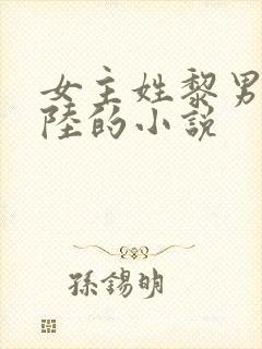 女主姓黎男主姓陆的小说