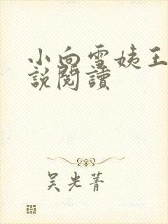 小向雪姨王浩小说阅读