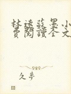 林远苏墨小说免费阅读全文最新章节封面