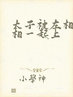 太子被左相和右相一起上